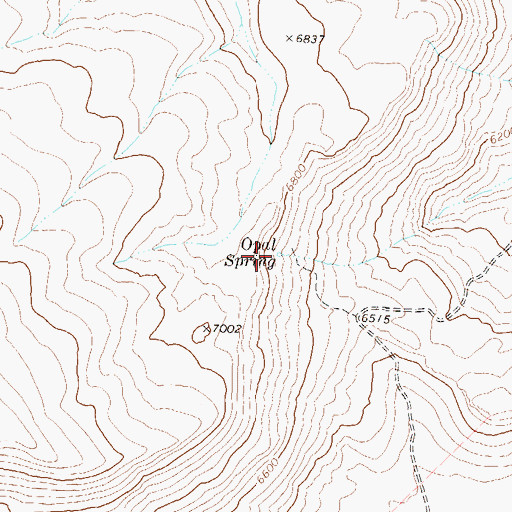 Topographic Map of Opal Spring, NV