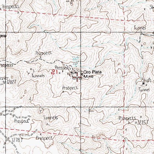 Topographic Map of Oro Plata Mine, NV
