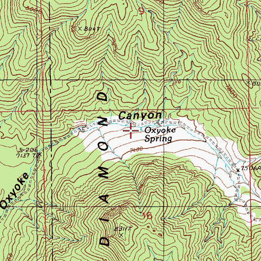 Topographic Map of Oxyoke Spring, NV