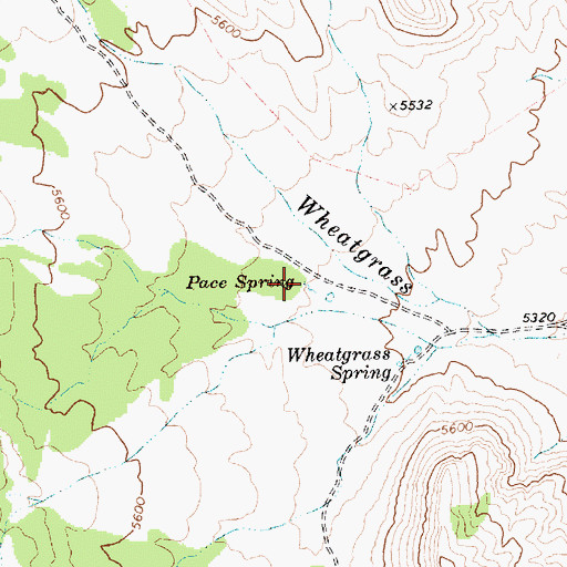 Topographic Map of Pace Spring, NV