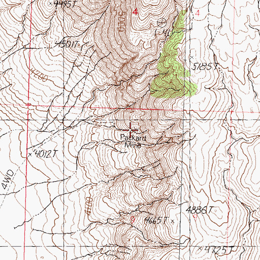 Topographic Map of Packard Mine, NV