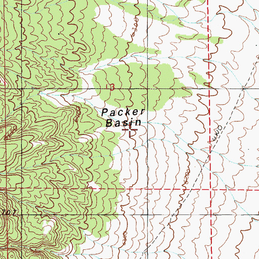 Topographic Map of Packer Basin, NV