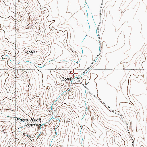 Topographic Map of Paint Rock Canyon, NV