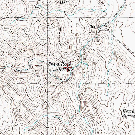 Topographic Map of Paint Rock Spring, NV