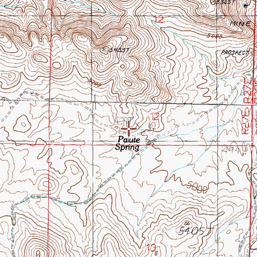 Topographic Map of Paiute Spring, NV