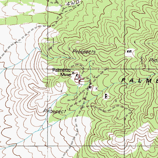 Topographic Map of Palmetto Mine, NV
