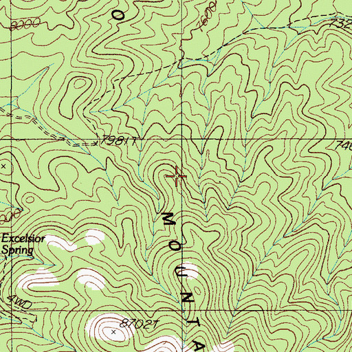 Topographic Map of Palmetto Mountains, NV