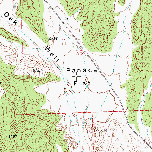 Topographic Map of Panaca Flat, NV