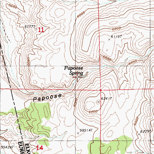 Topographic Map of Papoose Spring, NV