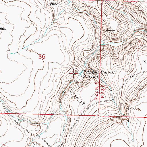 Topographic Map of Pappys Corral Spring, NV