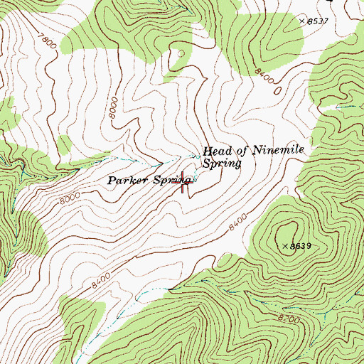 Topographic Map of Parker Spring, NV