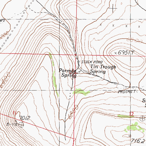 Topographic Map of Parman Spring, NV