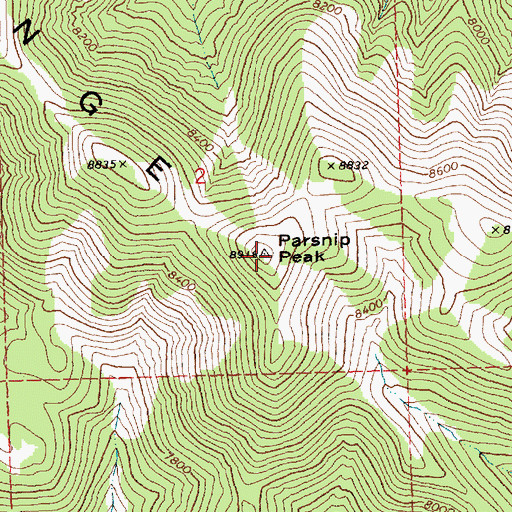 Topographic Map of Parsnip Peak, NV
