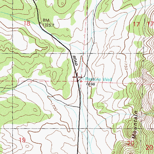 Topographic Map of Pasture Well, NV