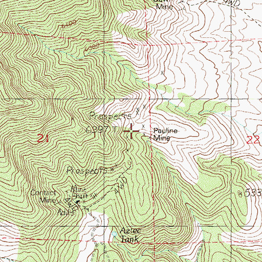 Topographic Map of Pauline Mine, NV