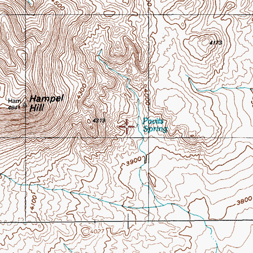 Topographic Map of Pavits Spring, NV