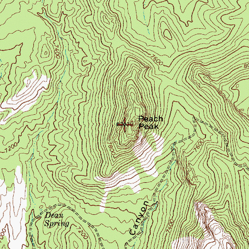 Topographic Map of Peach Peak, NV