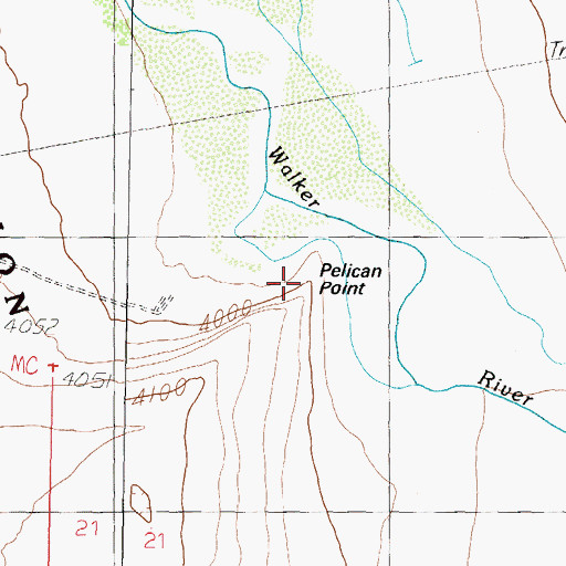 Topographic Map of Pelican Point, NV