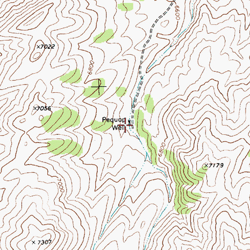 Topographic Map of Pequop Well, NV