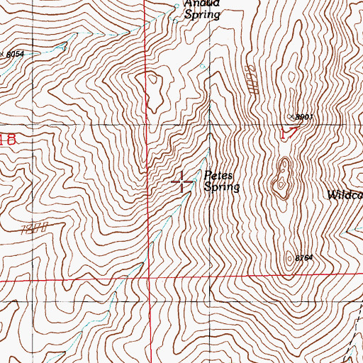 Topographic Map of Petes Spring, NV