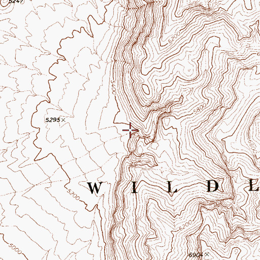 Topographic Map of Picture Canyon, NV