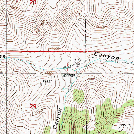 Topographic Map of Pine Canyon, NV