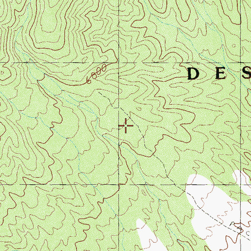 Topographic Map of Pine Nut Camp, NV