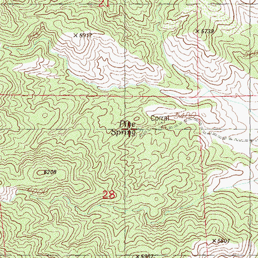 Topographic Map of Pine Spring, NV