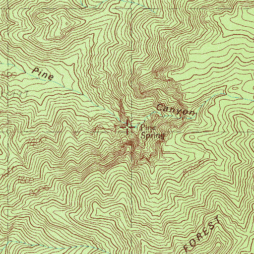 Topographic Map of Pine Spring, NV