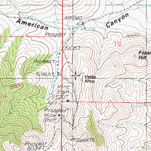 Topographic Map of Pinite Mine, NV