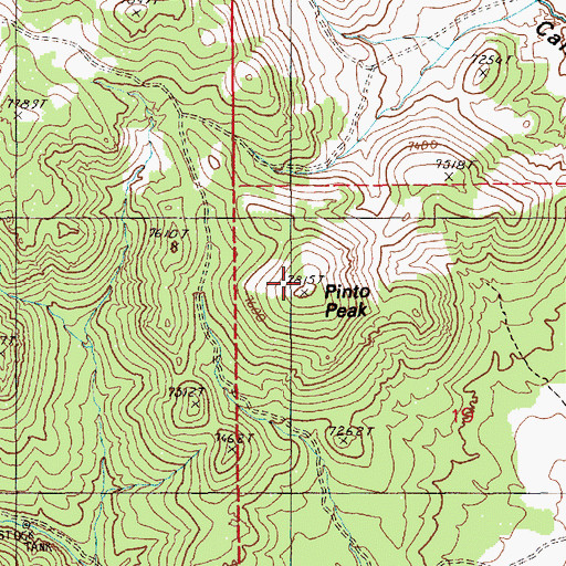 Topographic Map of Pinto Peak, NV