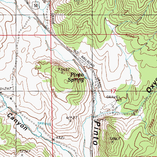 Topographic Map of Pinto Spring, NV