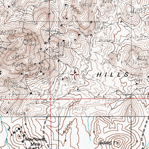 Topographic Map of Pioneer, NV