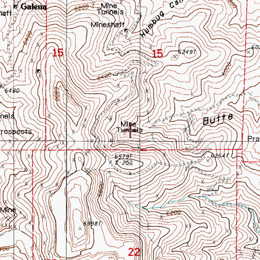 Topographic Map of Plumas Mine, NV