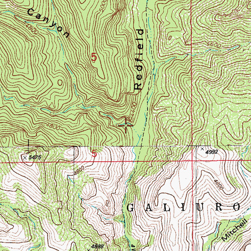 Topographic Map of Muleshoe Canyon, AZ