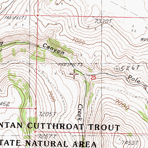 Topographic Map of Pole Creek, NV