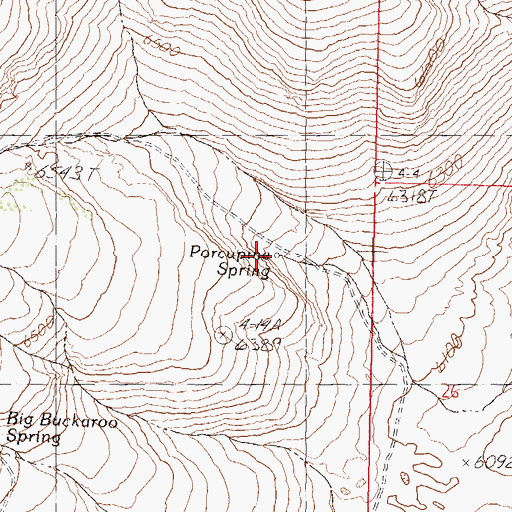 Topographic Map of Porcupine Spring, NV
