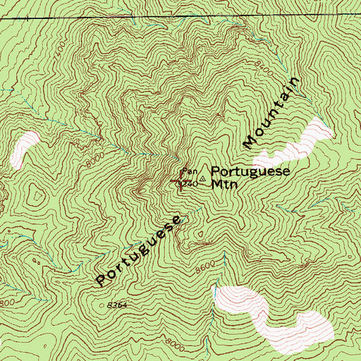 Topographic Map of Portuguese Mountain, NV