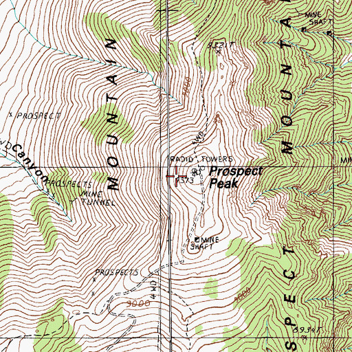 Topographic Map of Prospect Peak, NV