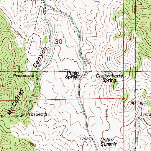 Topographic Map of Pump Spring, NV