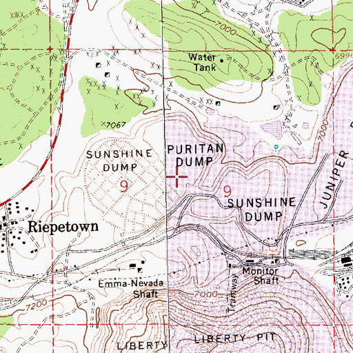 Topographic Map of Puritan Dump, NV