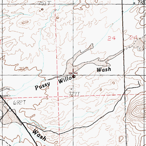 Topographic Map of Pussy Willow Wash, NV