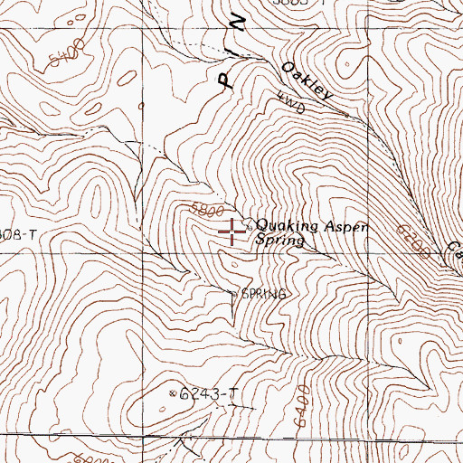 Topographic Map of Quaking Aspen Spring, NV