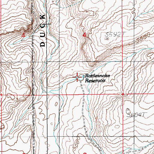 Topographic Map of Rattlesnake Reservoir, NV