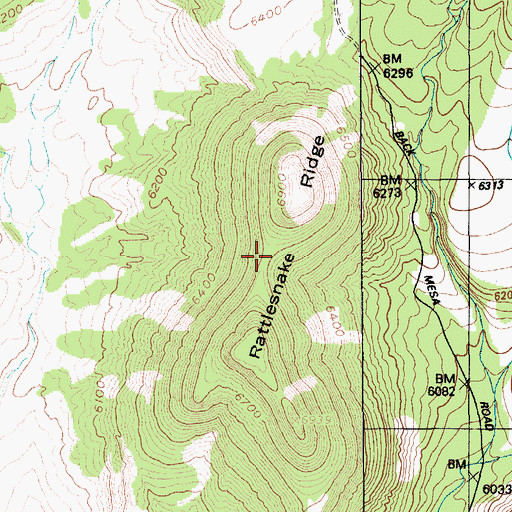 Topographic Map of Rattlesnake Ridge, NV