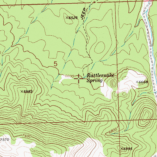Topographic Map of Rattlesnake Spring, NV