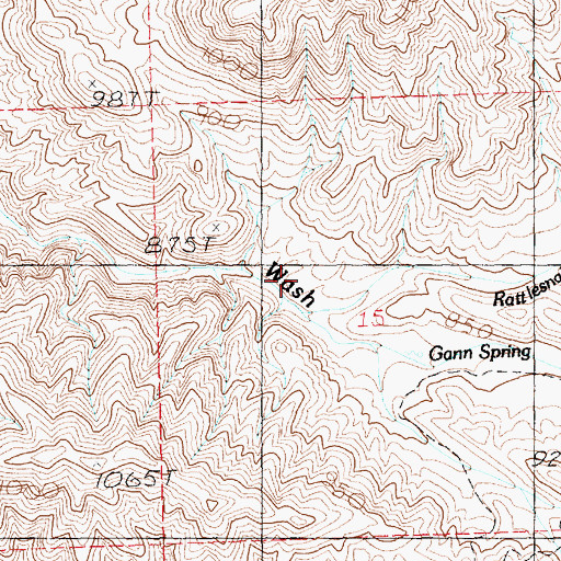 Topographic Map of Rattlesnake Wash, NV