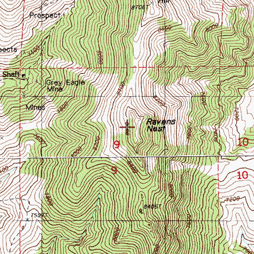 Topographic Map of Ravens Nest, NV