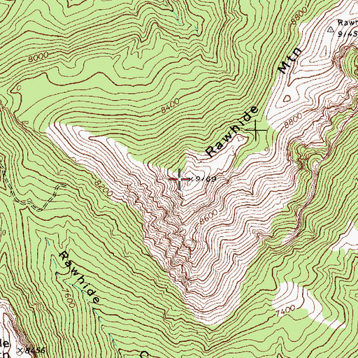 Topographic Map of Rawhide Mountain, NV