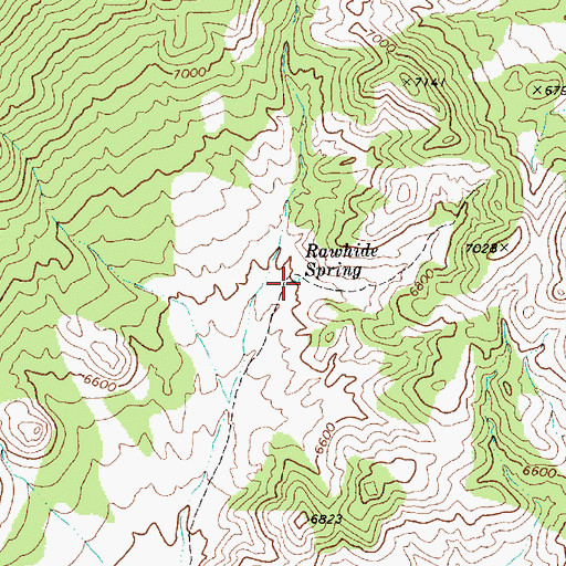 Topographic Map of Rawhide Spring, NV